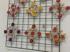IMG_1315